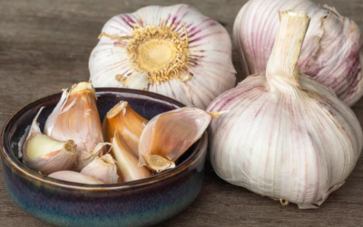 Apa Saja Penyakit yang Dapat Dicegah dengan Bawang Putih? Inilah 7 Manfaatnya