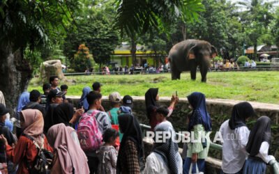 Prediksi Puncak Kedatangan Wisatawan di Ragunan pada 2 April