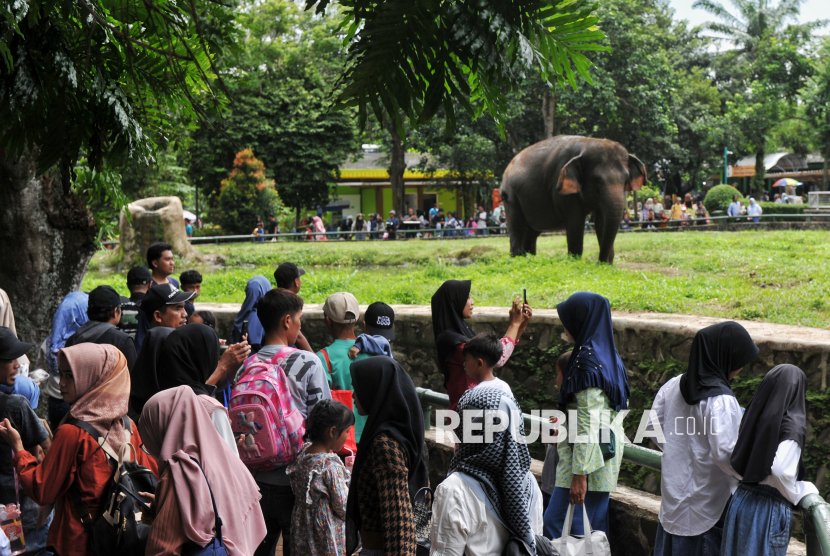 Prediksi Puncak Kedatangan Wisatawan di Ragunan pada 2 April