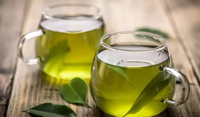 Rahasia Herbal untuk Meningkatkan Kesehatan Ginjal Anda