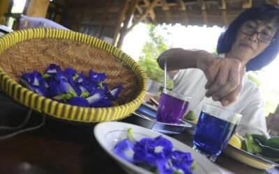 Temukan 14 Bunga Edible dengan Khasiat Luar Biasanya