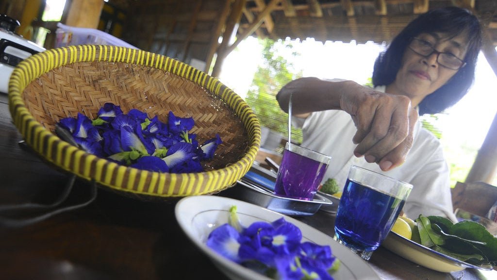 Temukan 14 Bunga Edible dengan Khasiat Luar Biasanya