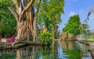 5 Umbul Cantik di Klaten: Destinasi Air Jernih yang Tak Tercemar Kaporit