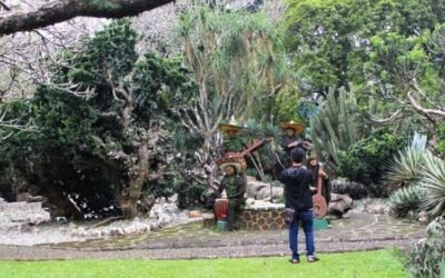 19 Tempat Wisata Mengagumkan di Kebun Raya Bogor