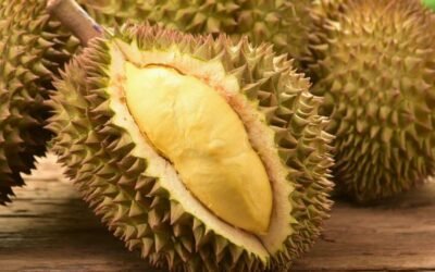 Berapa Banyak Durian yang Amannya Dikonsumsi dalam Sehari?