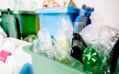 Ancaman Nyata: Polusi Mikroplastik Terancamkan Ketahanan Pangan Global