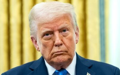 Trump Tariffs May Cost NI Businesses Over £100 Million